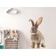 Naklejka na ścianę - królik czesiu